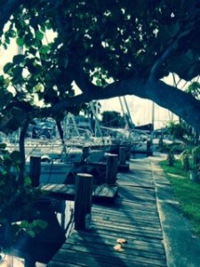 our lovely FT Laderdale Marina!